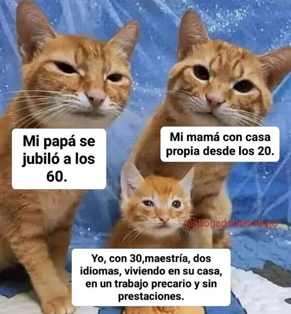 Meme_otros - El futuro pinta muy mal