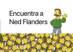 Enlace a Encuentra a Ned Flanders