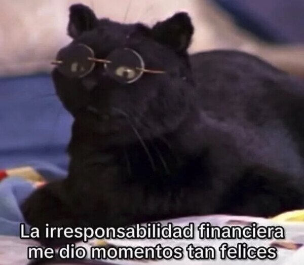 Meme_otros - Conocí la felicidad por momentos