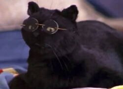 Enlace a Conocí la felicidad por momentos