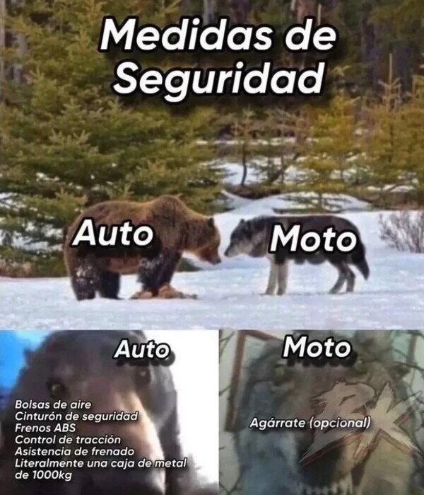 seguridad,coche,moto