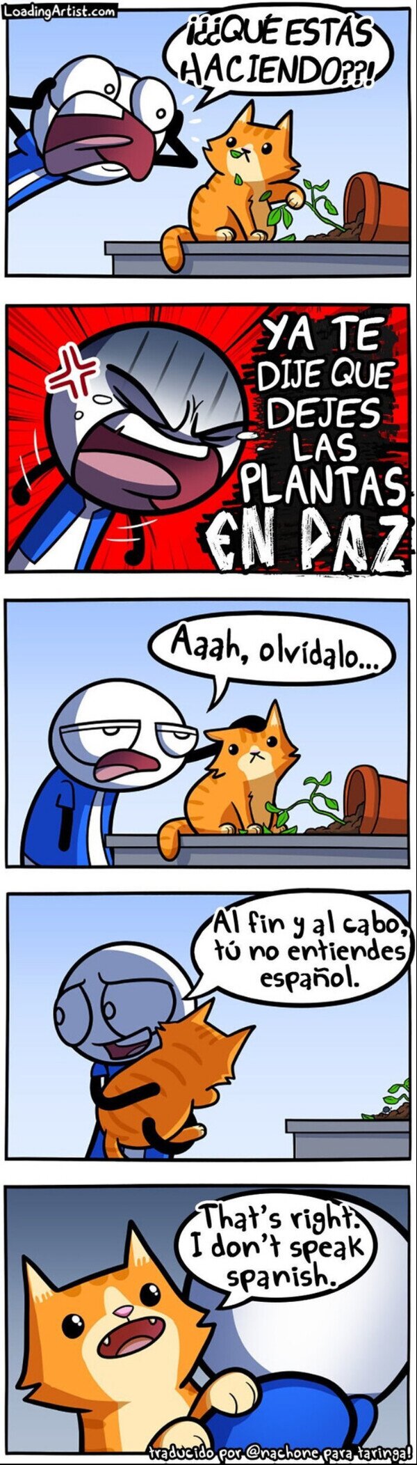 Otros - Tu gato no entiende el español