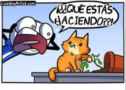 Enlace a Tu gato no entiende el español