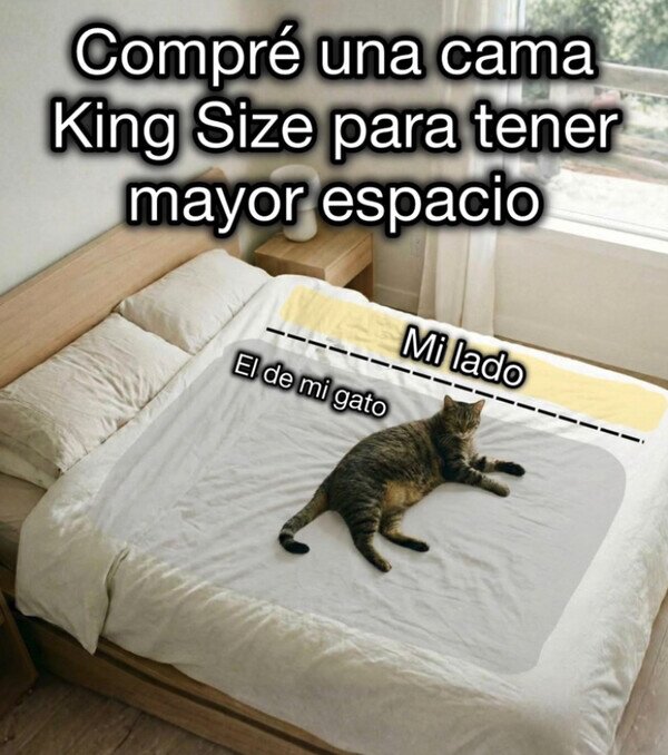 Meme_otros - Reparto del espacio