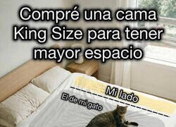 Enlace a Reparto del espacio