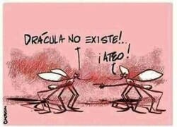 Enlace a Los mosquitos también tienen sus creencias