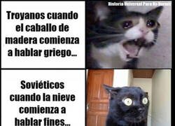 Enlace a Malas señales