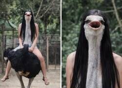 Enlace a ¿Qué champú usará este avestruz?