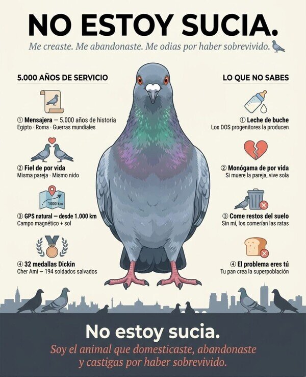 Meme_otros - Hemos despreciado demasiado a las palomas