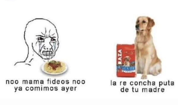 comida,comer,siempre,igual,perro