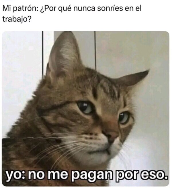 Otros - No voy a fingir felicidad