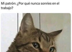 Enlace a No voy a fingir felicidad