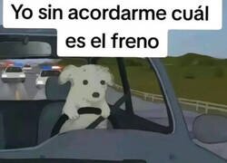 Enlace a Olvido temerario