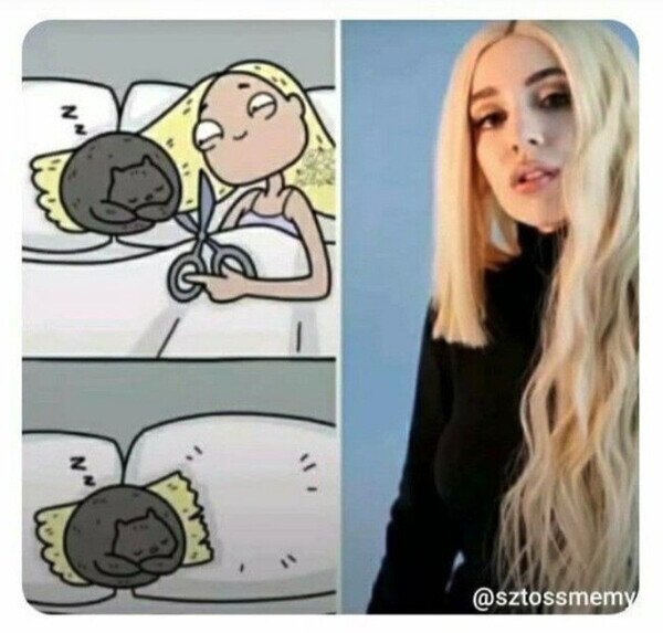 chica,corte,pelo,gato