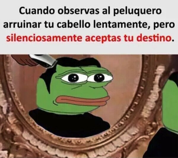 Meme_otros - Solo queda aceptar la realidad