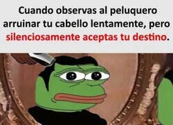 Enlace a Solo queda aceptar la realidad