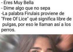 Enlace a Dime algo que no sepa