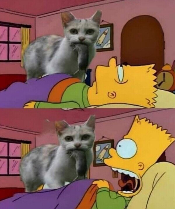 Meme_otros - Lo regalos que me trae el Misifú