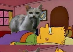 Enlace a Lo regalos que me trae el Misifú