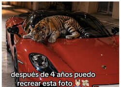 Enlace a Recreación lowcost