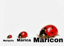 Enlace a La evolución natural
