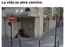 Enlace a Hay cosas que no se remedian con cuatro barrotes