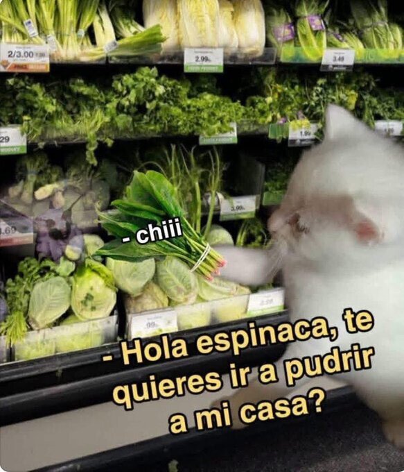 espinaca,pudrir,casa,comprar