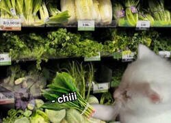 Enlace a Me la llevo