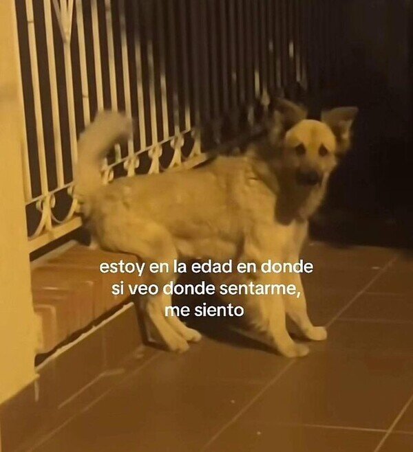 Meme_otros - Solo busco un punto de apoyo