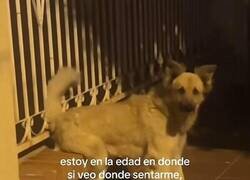 Enlace a Solo busco un punto de apoyo