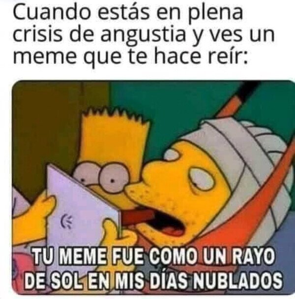 Otros - Un meme le puede hacer el día a alguien