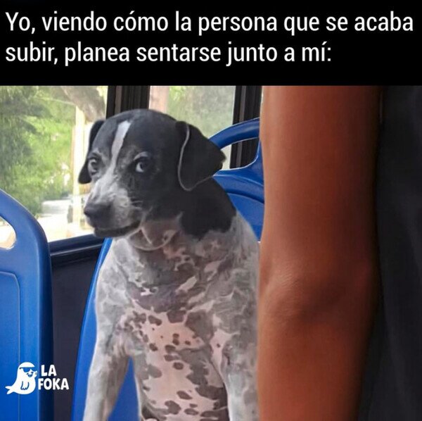 Otros - Maldita sea...