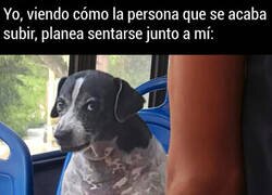 Enlace a Maldita sea...