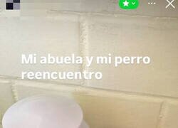 Enlace a Reencuentro familiar