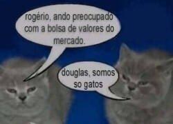 Enlace a Esplêndido.