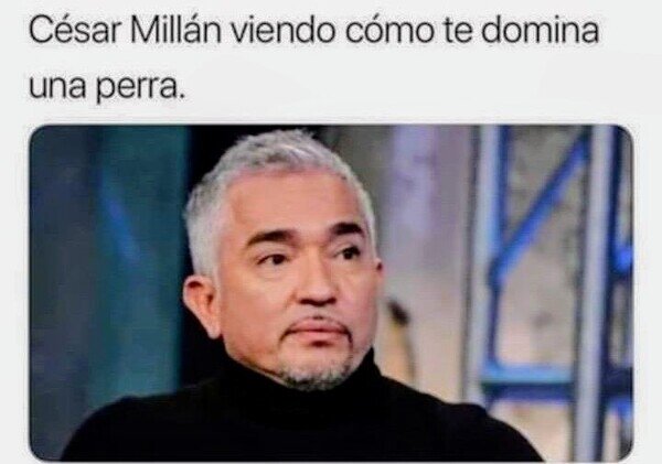 encantador,perros,dominar,C&eacute;sar Mill&aacute;n