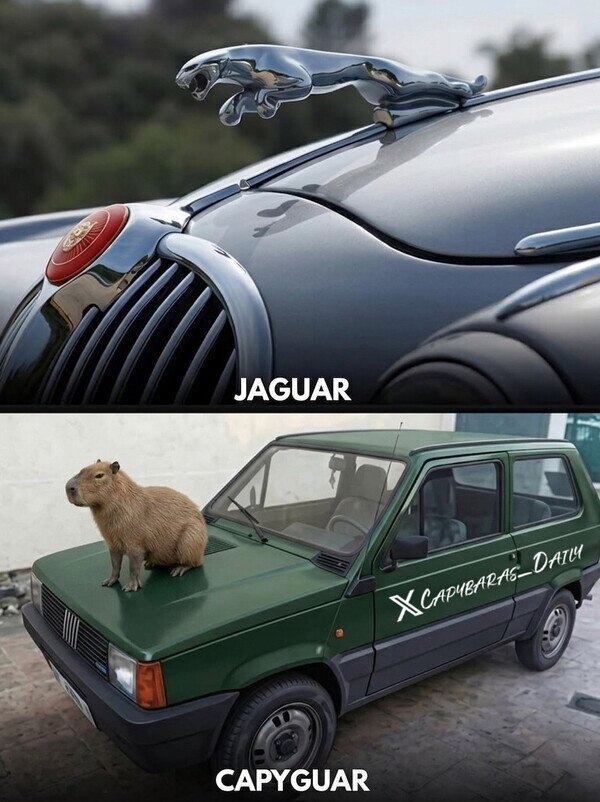 Meme_otros - Sólo aspiro a tener el segundo