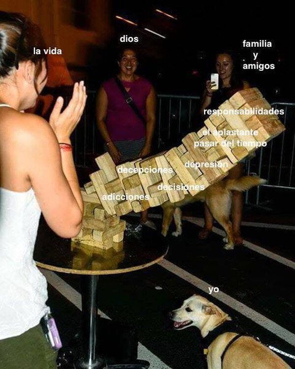perro,vida,caer,mal,jenga