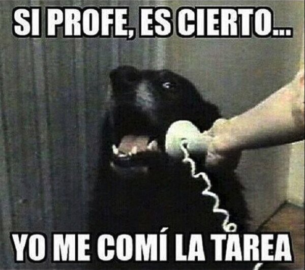 Meme_otros - Los rumores son ciertos