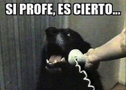 Enlace a Los rumores son ciertos