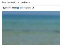 Enlace a Los cangrejos también se ejercitan