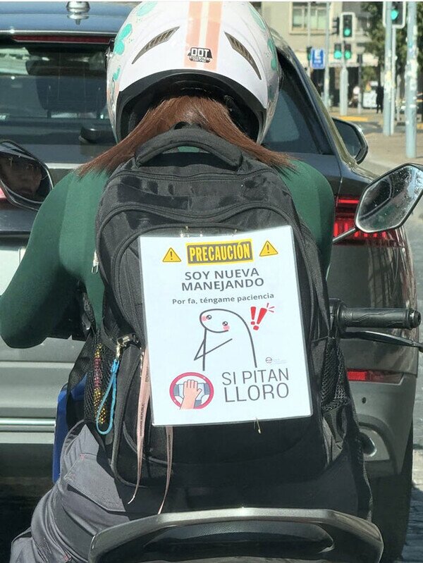 Meme_otros - Conductora principiante