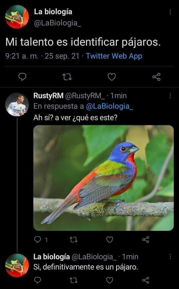 Meme_otros - Talento oculto