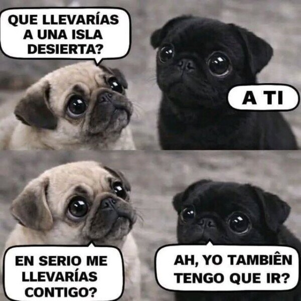 Meme_otros - Te llevaría a una isla desierta