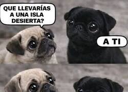 Enlace a Te llevaría a una isla desierta