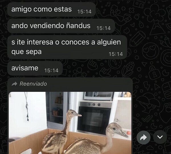 Otros - Todos tenemos un amigo que se mete en negocios raros