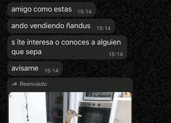 Enlace a Todos tenemos un amigo que se mete en negocios raros