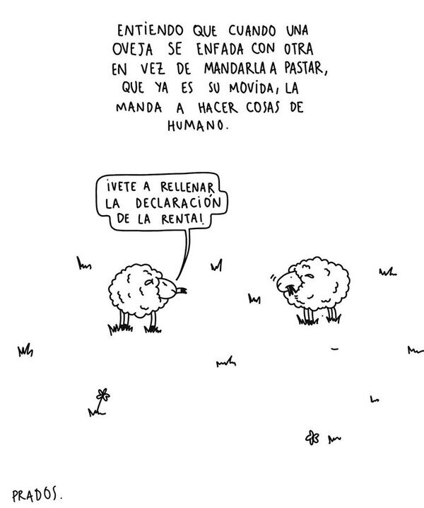 ovejas,mandar,pastar,renta