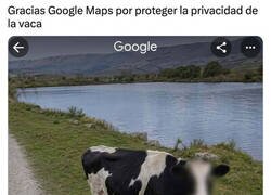 Enlace a Google Maps está en todo