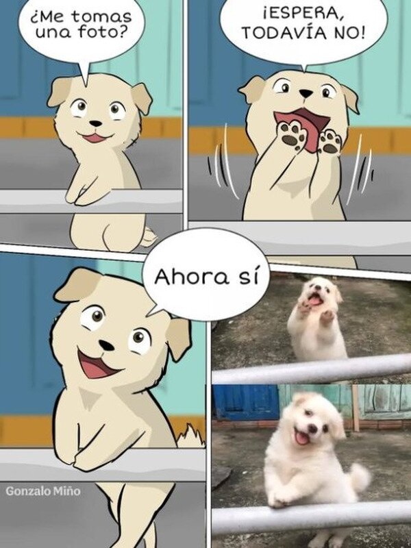 Meme_otros - Lo más adorable que vi nunca